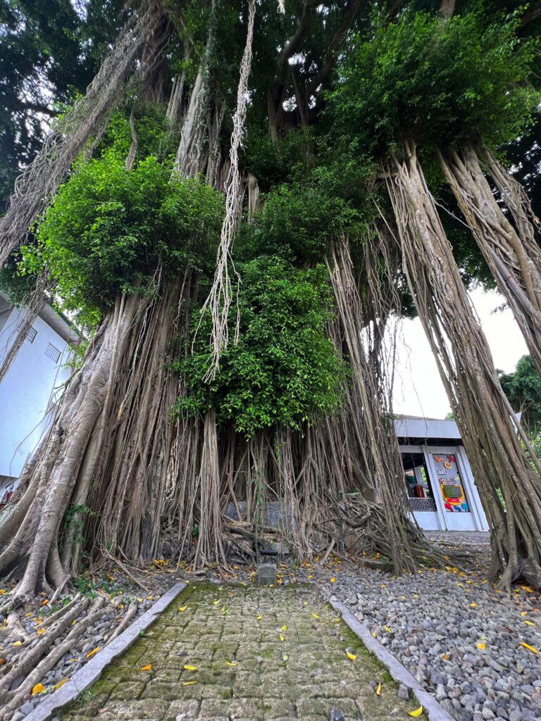 Jogja National Museum garden