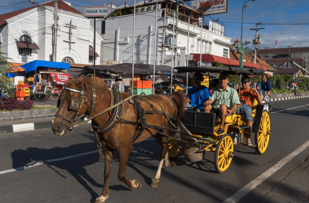 Delman horse carriage