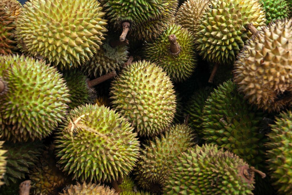 Durian fruit on display