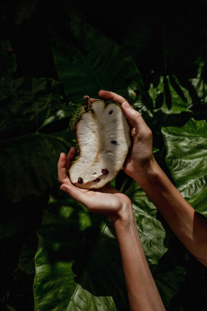Inside of a soursop | Indonesian Fruits