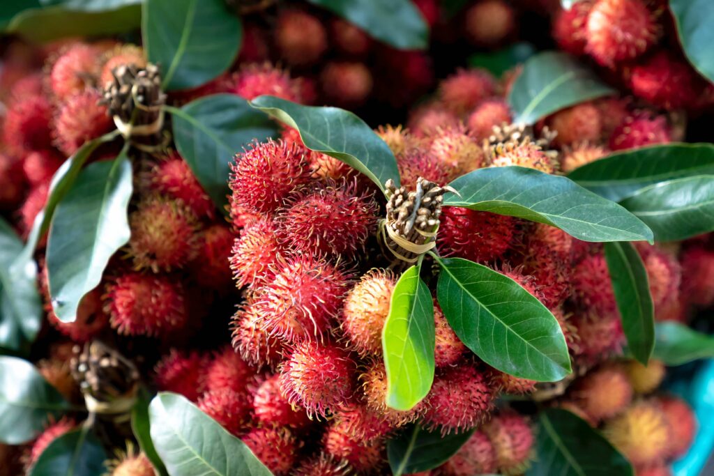 Rambutan at the market | Indonesian Fruits