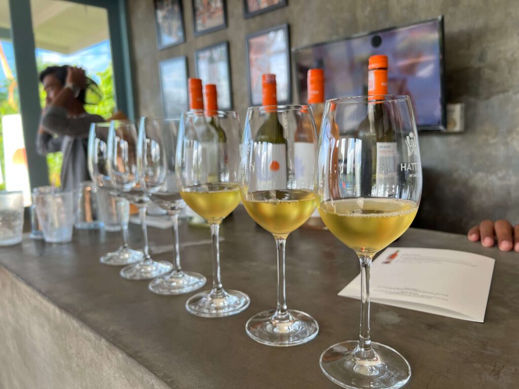 Wine Tasting at Hatten Wines Vineyard | North Bali Tourist Spot