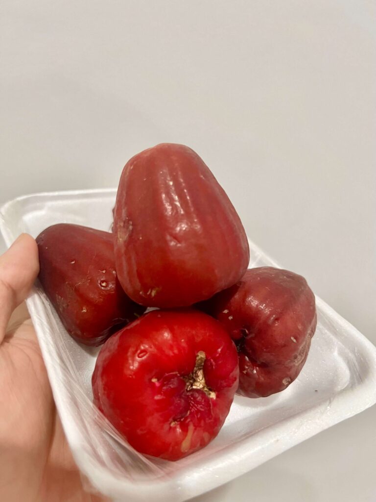 Malay Apple (Jambu Bol) | Indonesian Fruit
